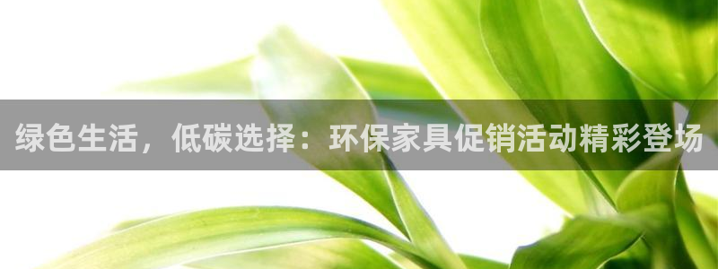tp钱包dapp接口文档：绿色生活，低碳选择：环保家具促销活