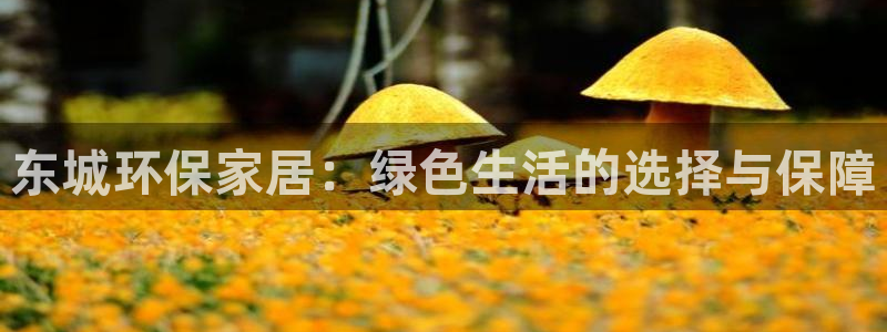 tp钱包 冷钱包：东城环保家居：绿色生活的选择与保障