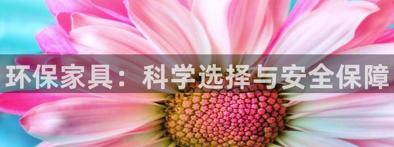 tp钱包ht里面的u怎么转出来：环保家具：科学选择与安全保障