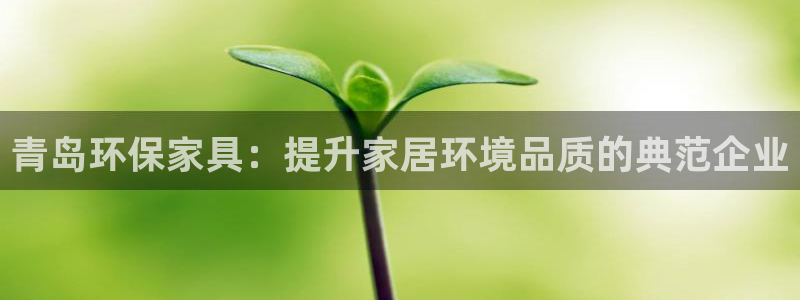 tp钱包trx网络费贵：青岛环保家具：提升家居环境品质的典范