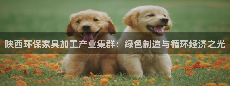 tp 钱包 教程：陕西环保家具加工产业集群：绿色制造与循环经