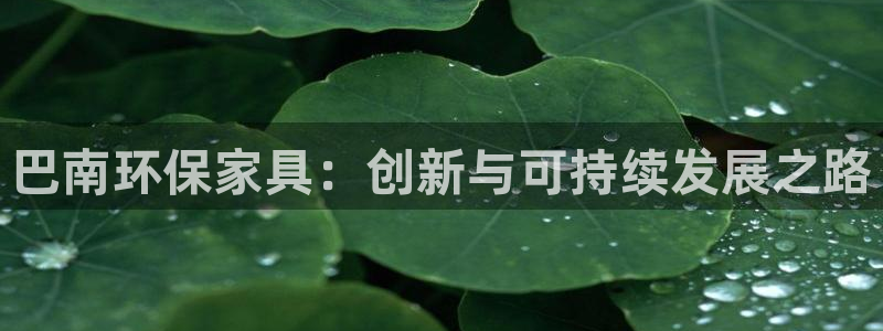 tp钱包pc：巴南环保家具：创新与可持续发展之路
