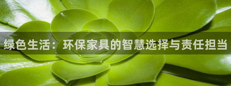 tp钱包error：绿色生活：环保家具的智慧选择与责任担当