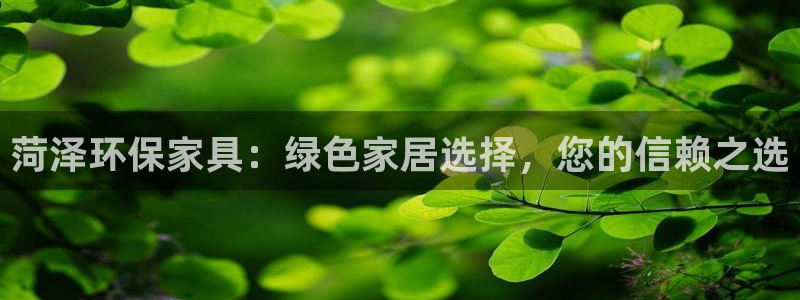 tp钱包安卓官方版：菏泽环保家具：绿色家居选择，您的信赖之选