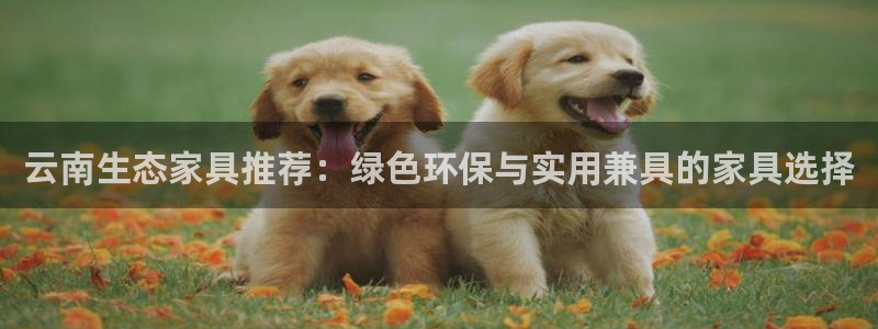 tpay钱包官网下载