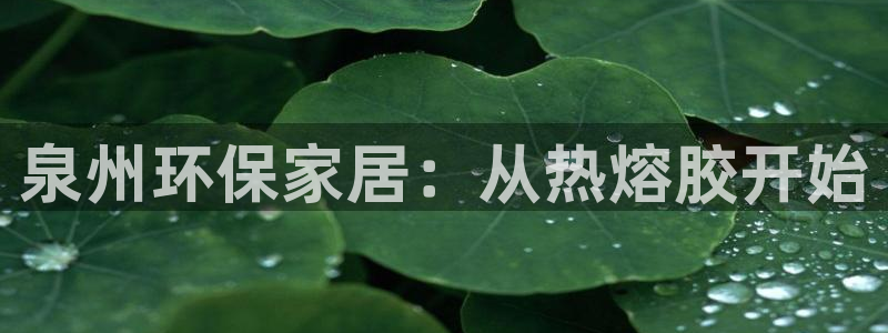 tp钱包usdt怎么换成ht：泉州环保家居：从热熔胶开始