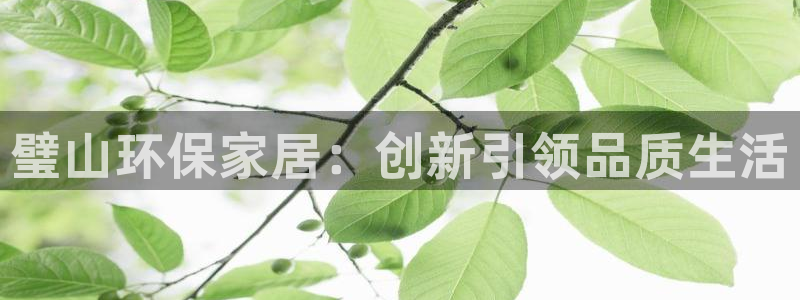 tp官网钱包：璧山环保家居：创新引领品质生活