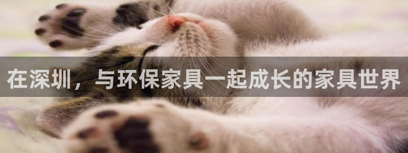 TP冷钱包下载后,为何打不开：在深圳，与环保家具一起成长的家