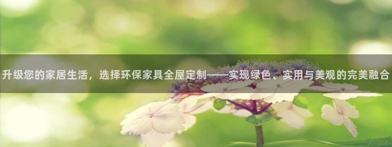 tp 钱包每次可以转多少u