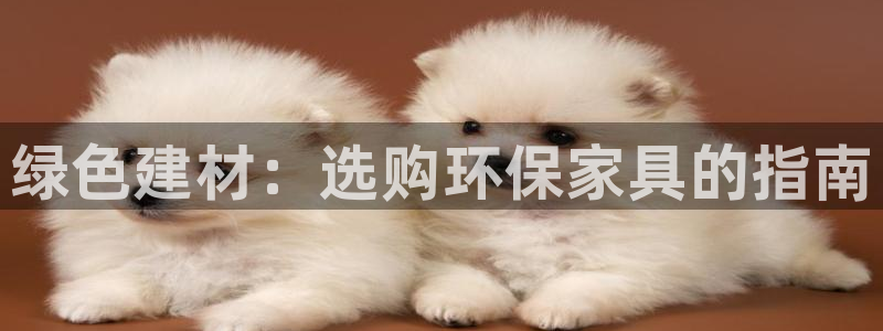 tp钱包trc20转账：绿色建材：选购环保家具的指南