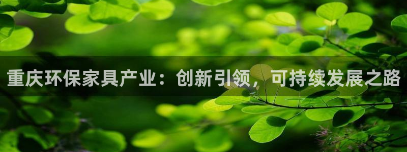 tp 钱包下载：重庆环保家具产业：创新引领，可持续发展之路