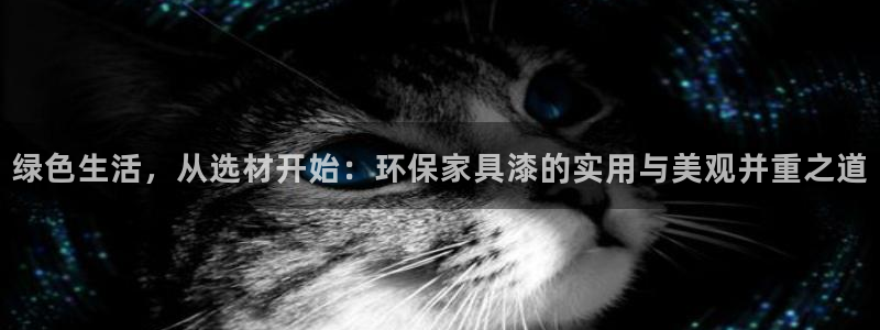 tptp下载免费：绿色生活，从选材开始：环保家具漆的实用与美