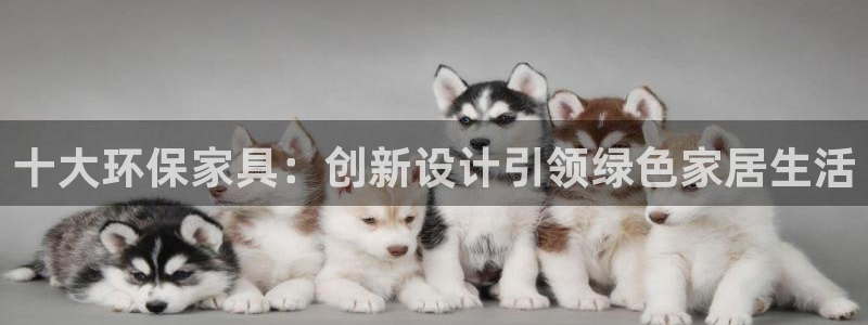 TP钱包USDT突然被转走不见了：十大环保家具：创新设计引领