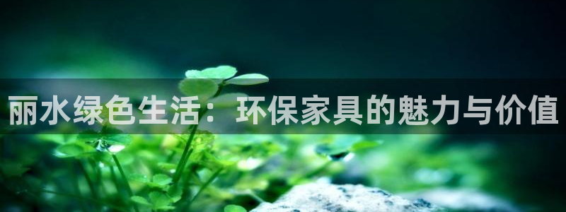 tp观察钱包提币教程：丽水绿色生活：环保家具的魅力与价值