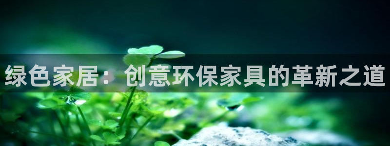 tp钱包 eth：绿色家居：创意环保家具的革新之道