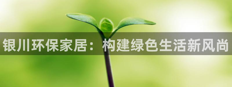 tplink官方软件：银川环保家居：构建绿色生活新风尚