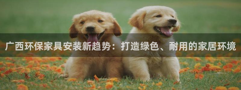 htmoon tp钱包：广西环保家具安装新趋势：打造绿色、耐