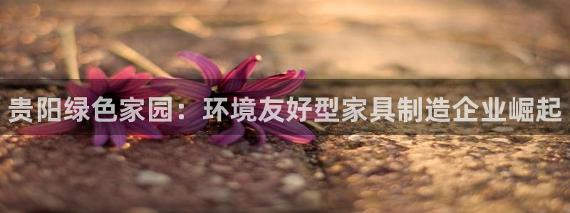tp-link安装：贵阳绿色家园：环境友好型家具制造企业崛起