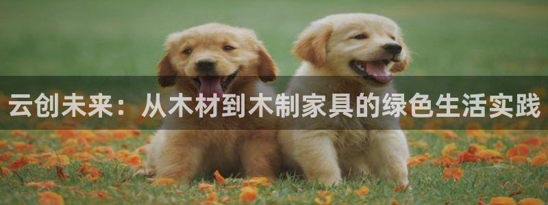 tp钱包安全吗会被骗吗